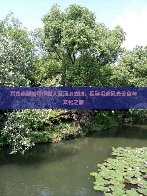 黔东南到新疆伊犁大草原必去地：探秘沿途风光美食与文化之旅