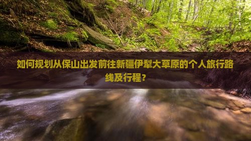 如何规划从保山出发前往新疆伊犁大草原的个人旅行路线及行程？
