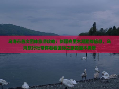 乌海市首次团体旅游攻略：新疆赛里木湖路线信息，乌海旅行社带你看看国际之旅的里木美景