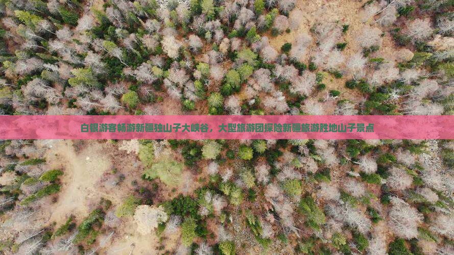 白银游客畅游新疆独山子大峡谷，大型旅游团探险新疆旅游胜地山子景点