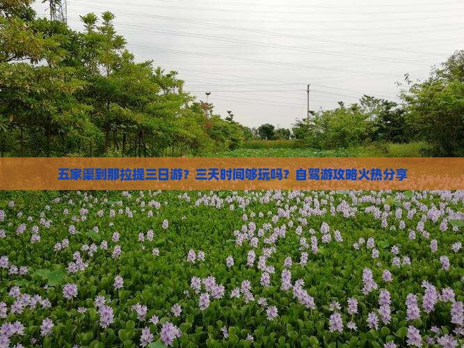 五家渠到那拉提三日游？三天时间够玩吗？自驾游攻略火热分享