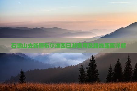 石嘴山去新疆布尔津四日游费用及路线距离详解