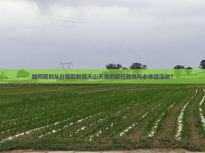 如何规划从白银到新疆天山天池的旅行路线与必体验活动？