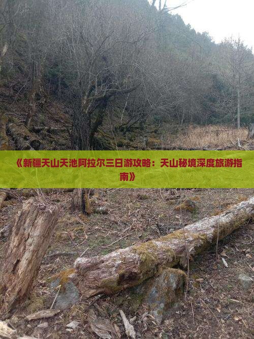 《新疆天山天池阿拉尔三日游攻略：天山秘境深度旅游指南》