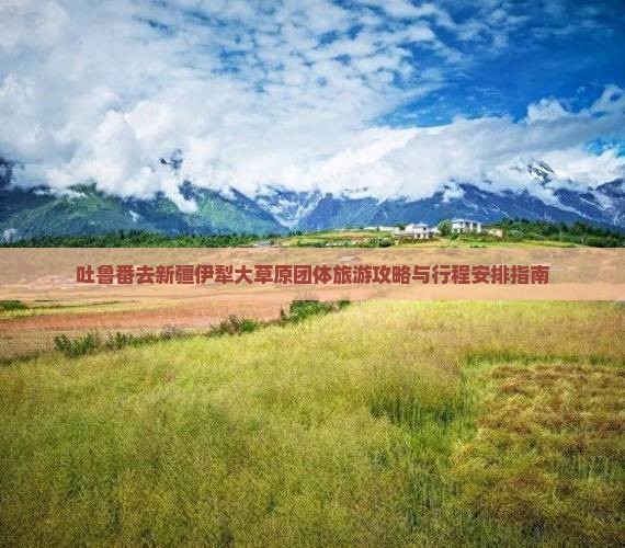 吐鲁番去新疆伊犁大草原团体旅游攻略与行程安排指南