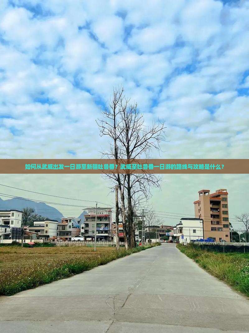 如何从武威出发一日游至新疆吐鲁番？武威至吐鲁番一日游的路线与攻略是什么？