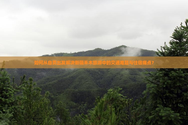如何从自贡出发解决新疆禾木旅游中的交通难题与住宿痛点？