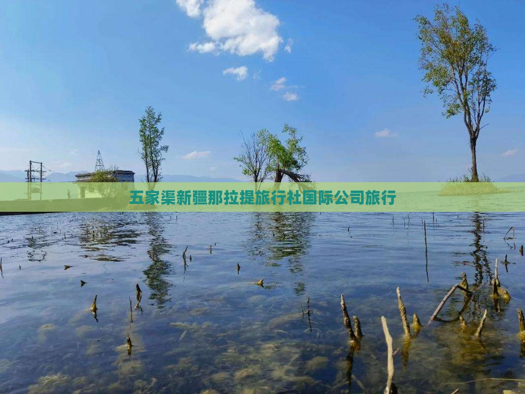 五家渠新疆那拉提旅行社国际公司旅行