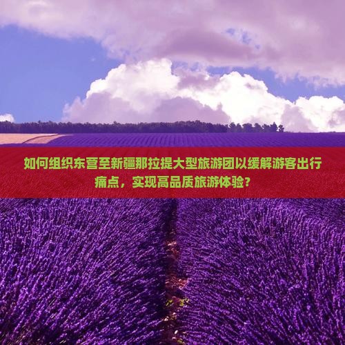 如何组织东营至新疆那拉提大型旅游团以缓解游客出行痛点，实现高品质旅游体验？