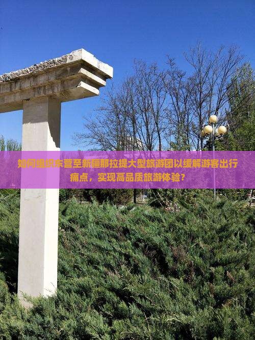 如何组织东营至新疆那拉提大型旅游团以缓解游客出行痛点，实现高品质旅游体验？