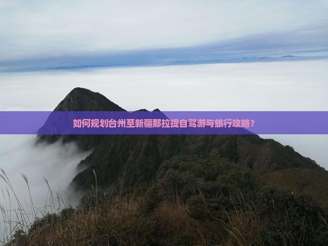 如何规划台州至新疆那拉提自驾游与旅行攻略？