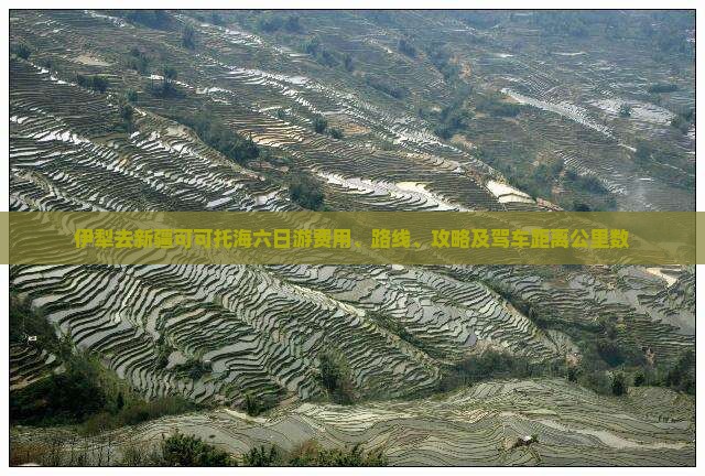 伊犁去新疆可可托海六日游费用、路线、攻略及驾车距离公里数