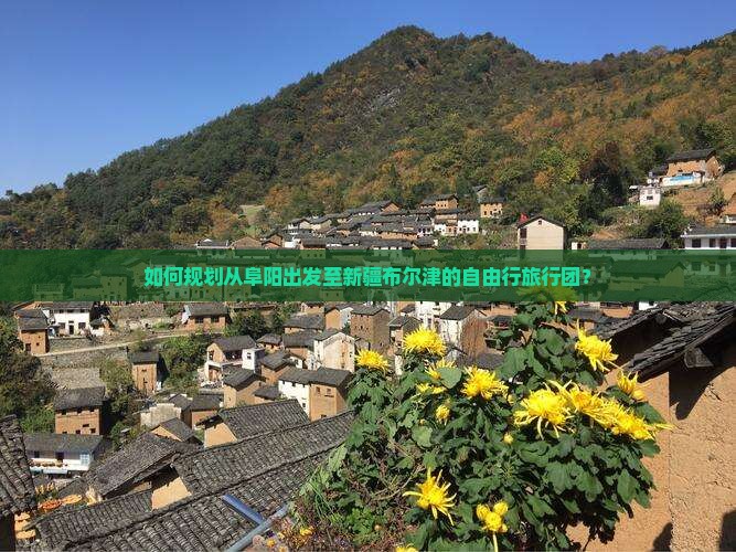 如何规划从阜阳出发至新疆布尔津的自由行旅行团？