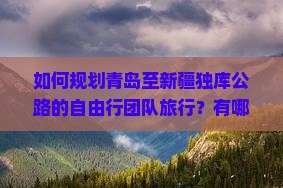 如何规划青岛至新疆独库公路的自由行团队旅行？有哪些必游景点和攻略？
