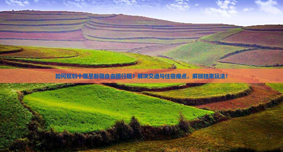 如何规划十堰至新疆自由团行程？解决交通与住宿痛点，解锁独家玩法！