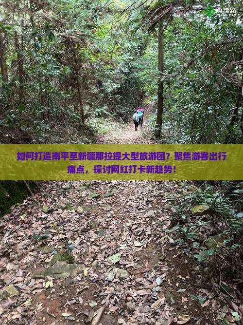 如何打造南平至新疆那拉提大型旅游团？聚焦游客出行痛点，探讨网红打卡新趋势！