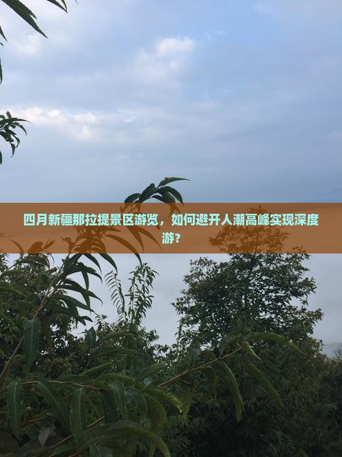 四月新疆那拉提景区游览，如何避开人潮高峰实现深度游？