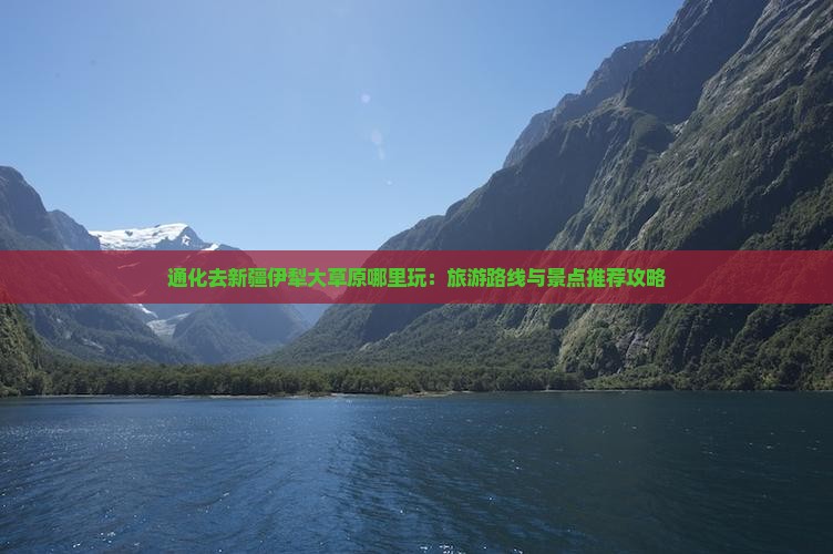 通化去新疆伊犁大草原哪里玩：旅游路线与景点推荐攻略