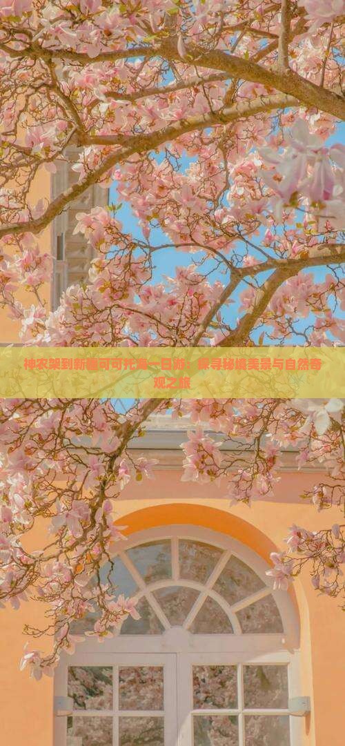 神农架到新疆可可托海一日游：探寻秘境美景与自然奇观之旅