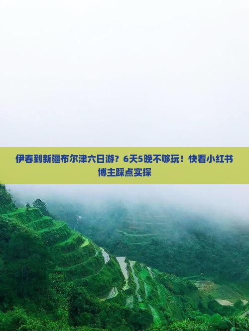 伊春到新疆布尔津六日游？6天5晚不够玩！快看小红书博主踩点实探