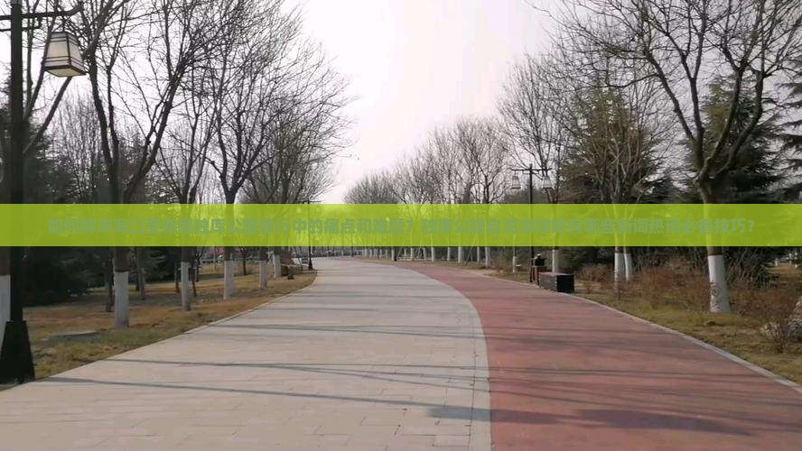 如何解决海口至新疆独库公路旅行中的痛点和难题？独库公路自驾游攻略有哪些新词热词必备技巧？