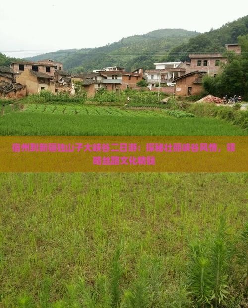 宿州到新疆独山子大峡谷二日游：探秘壮丽峡谷风情，领略丝路文化精髓