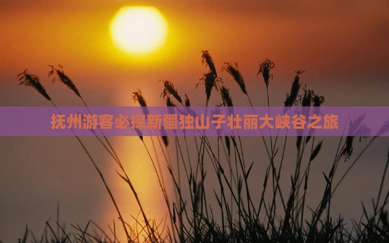 抚州游客必探新疆独山子壮丽大峡谷之旅