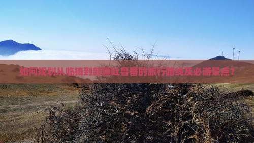 如何规划从临猗到新疆吐鲁番的旅行路线及必游景点？