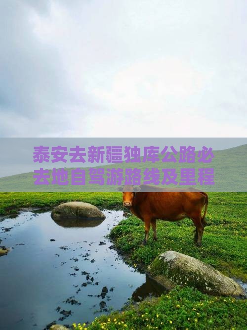 泰安去新疆独库公路必去地自驾游路线及里程