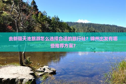 去新疆天池旅游怎么选择合适的旅行社？锦州出发有哪些推荐方案？