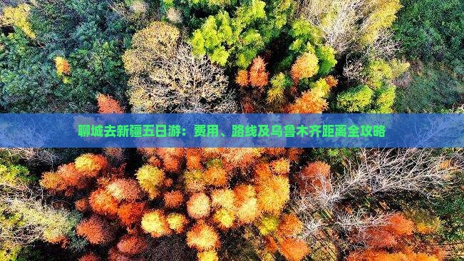 聊城去新疆五日游：费用、路线及乌鲁木齐距离全攻略