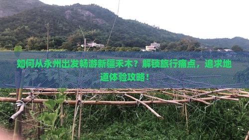 如何从永州出发畅游新疆禾木？解锁旅行痛点，追求地道体验攻略！