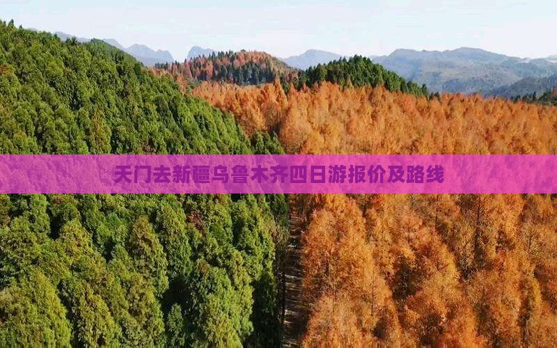 天门去新疆乌鲁木齐四日游报价及路线