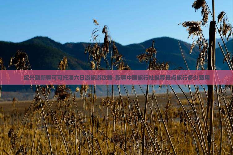 绍兴到新疆可可托海六日游旅游攻略-新疆中国旅行社推荐景点旅行多少费用