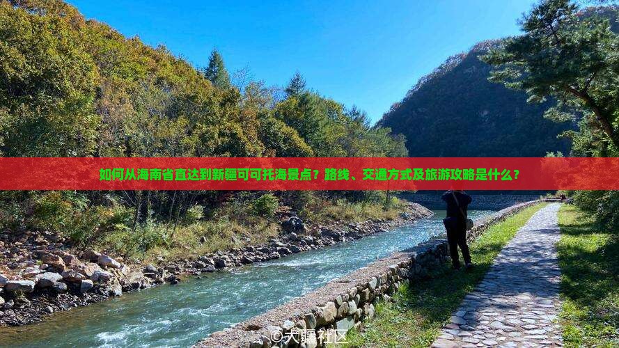 如何从海南省直达到新疆可可托海景点？路线、交通方式及旅游攻略是什么？