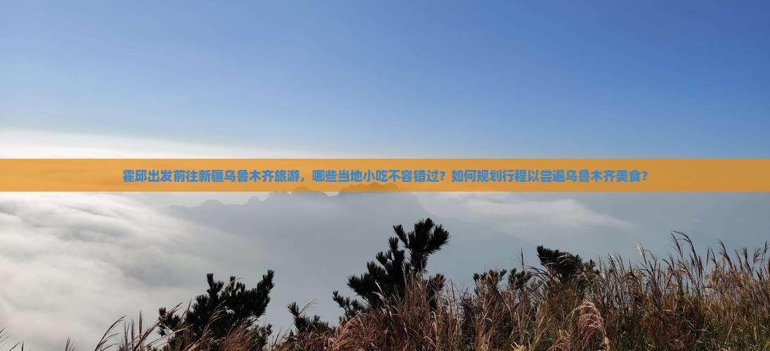 霍邱出发前往新疆乌鲁木齐旅游，哪些当地小吃不容错过？如何规划行程以尝遍乌鲁木齐美食？