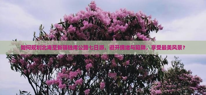 如何规划北海至新疆独库公路七日游，避开拥堵与陷阱，享受最美风景？