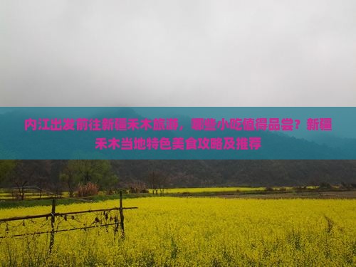 内江出发前往新疆禾木旅游，哪些小吃值得品尝？新疆禾木当地特色美食攻略及推荐