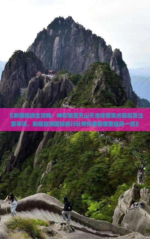 《新疆旅游全攻略：神农架至天山天池详细景点信息及注意事项，新疆旅游国际旅行社带你看看哪里值得一游》