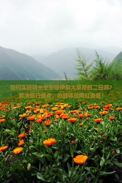 如何实现锦州至新疆伊犁大草原的二日游？解决旅行痛点，抢鲜体验网红美景！