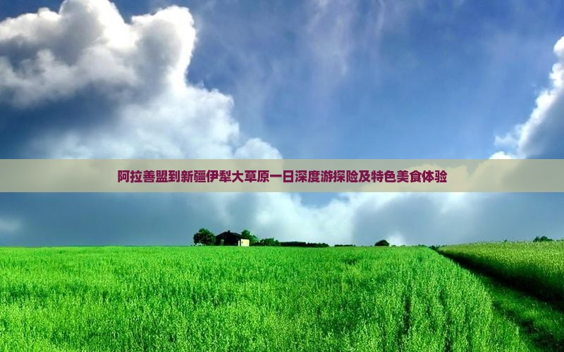 阿拉善盟到新疆伊犁大草原一日深度游探险及特色美食体验