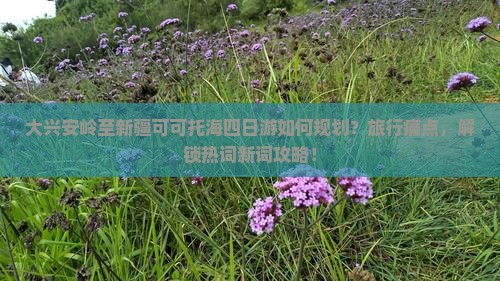 大兴安岭至新疆可可托海四日游如何规划？旅行痛点，解锁热词新词攻略！