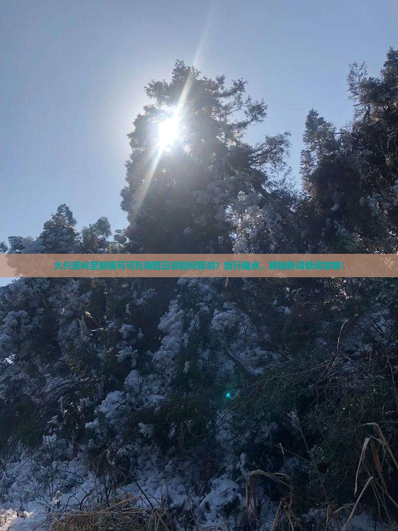 大兴安岭至新疆可可托海四日游如何规划？旅行痛点，解锁热词新词攻略！