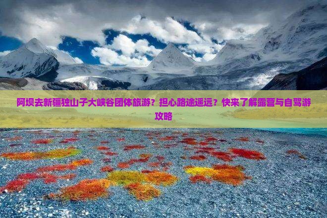 阿坝去新疆独山子大峡谷团体旅游？担心路途遥远？快来了解露营与自驾游攻略