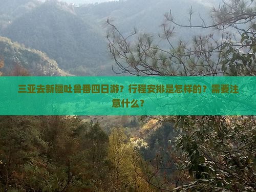 三亚去新疆吐鲁番四日游？行程安排是怎样的？需要注意什么？