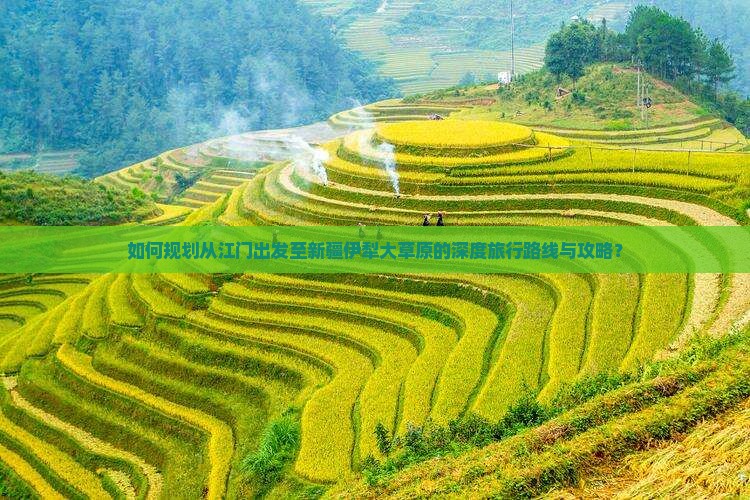 如何规划从江门出发至新疆伊犁大草原的深度旅行路线与攻略？