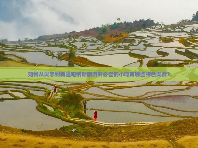 如何从吴忠到新疆喀纳斯旅游时必尝的小吃有哪些特色美食？