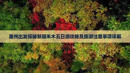 惠州出发探秘新疆禾木五日游攻略及旅游注意事项详解