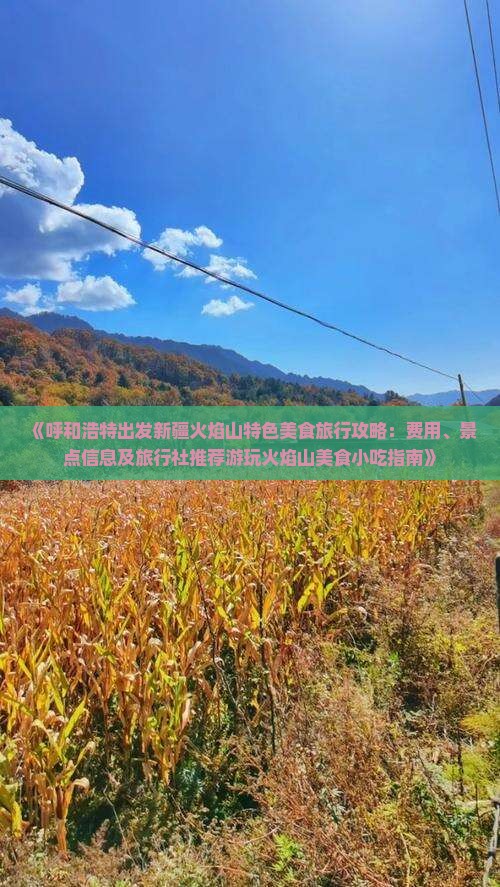 《呼和浩特出发新疆火焰山特色美食旅行攻略：费用、景点信息及旅行社推荐游玩火焰山美食小吃指南》