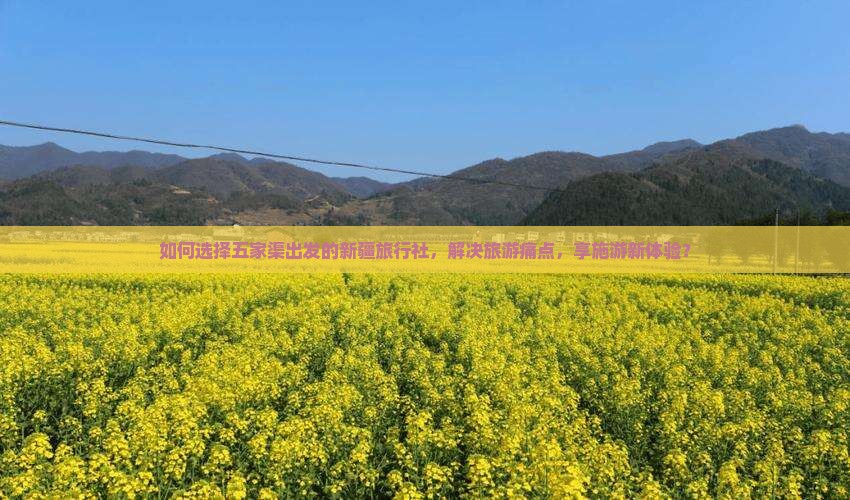 如何选择五家渠出发的新疆旅行社，解决旅游痛点，享施游新体验？